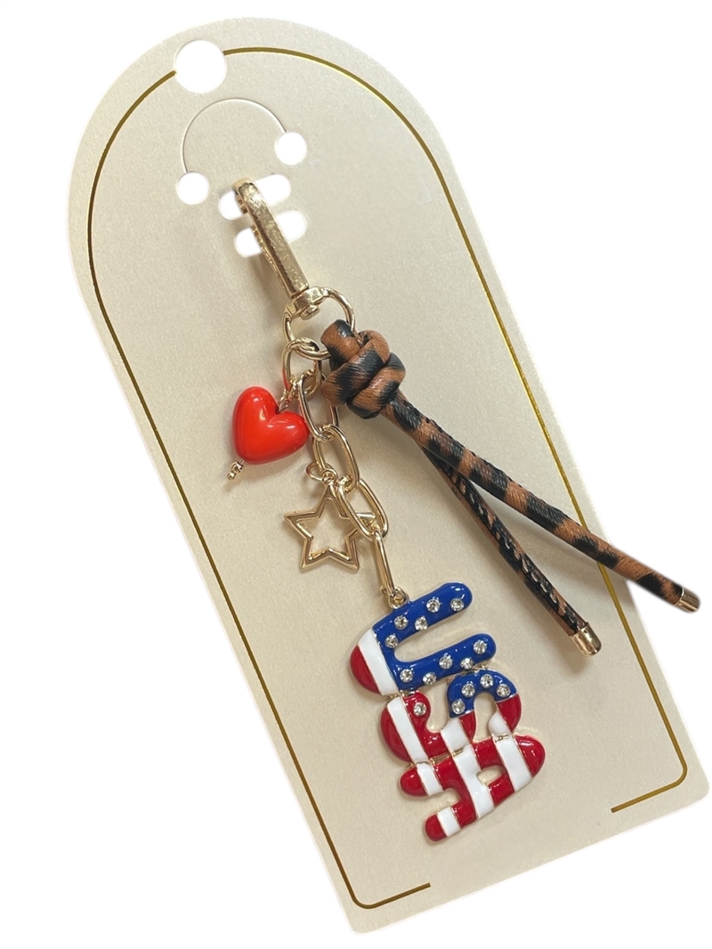 19-2100 USA STARS & STRIPES PURSE CHARM