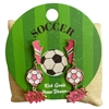 C1E2237 PINK GOAL SOCCER POST DANGLE EARRINGS