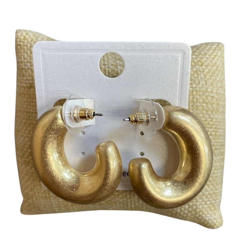 CE9864-1 OVAL MATTE OPEN HOOP EARRINGS