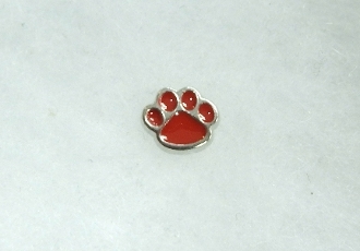 CH-102 PAW CHARM