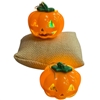 ME11247    '' LIGHT-UP''   PUMPKIN EARRINGS