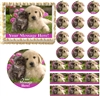 Adorable PUPPY and KITTEN Theme Edible Cake Topper Image Frosting Sheet - All Sizes!