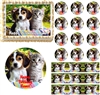 Adorable Kitten and Puppy Edible Cake Topper Image Cupcakes Cookies Puppy Cake