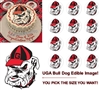 Georgia Bulldogs Edible Cake Topper Image Cupcakes Cookies Cake Topper UGA