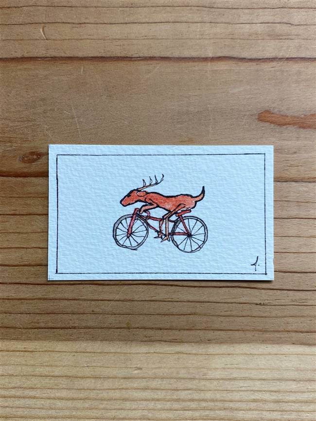 Cycling Deer