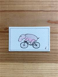 Cycling Hippo