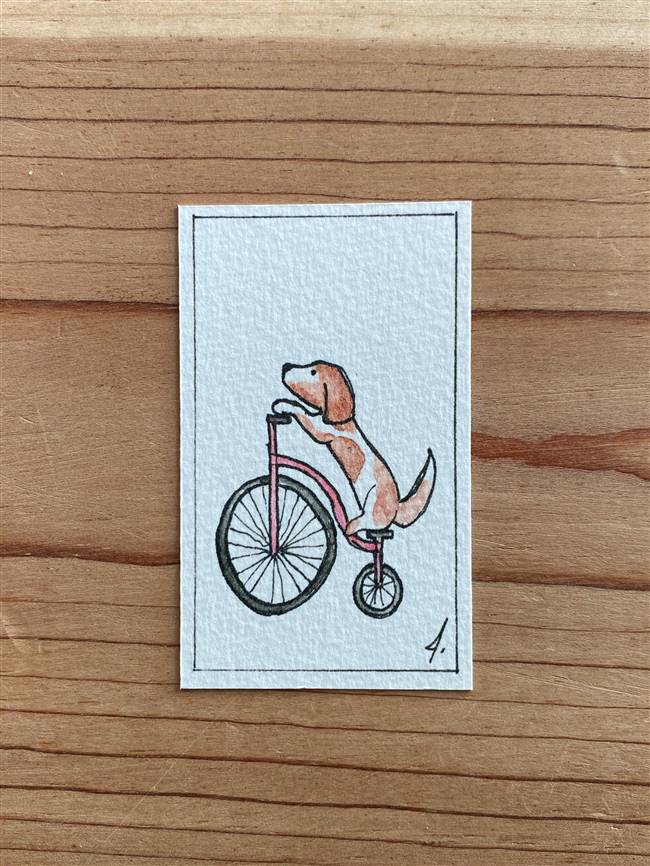 Cycling Dog