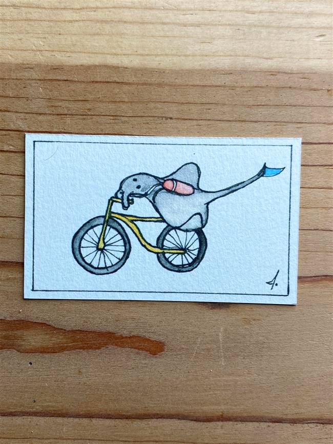 Cycling Manta Ray