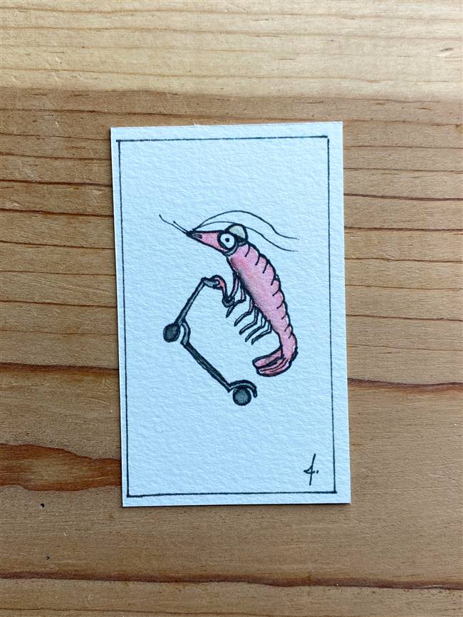 Cycling Shrimp