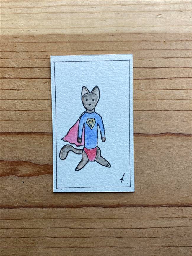 Pet Supercat