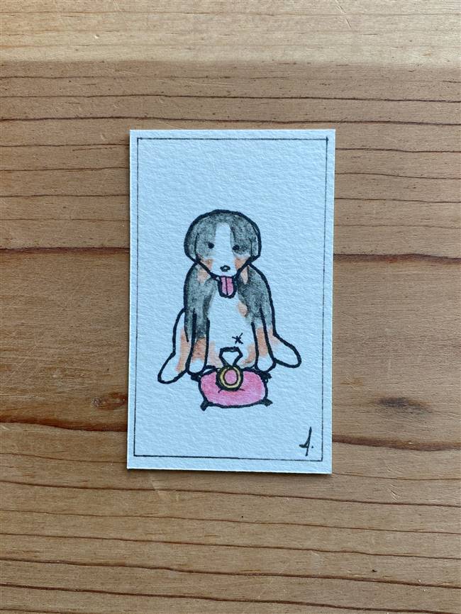 Pet Pupper Engagement