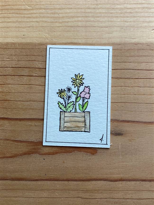 Floral Box of Weeds