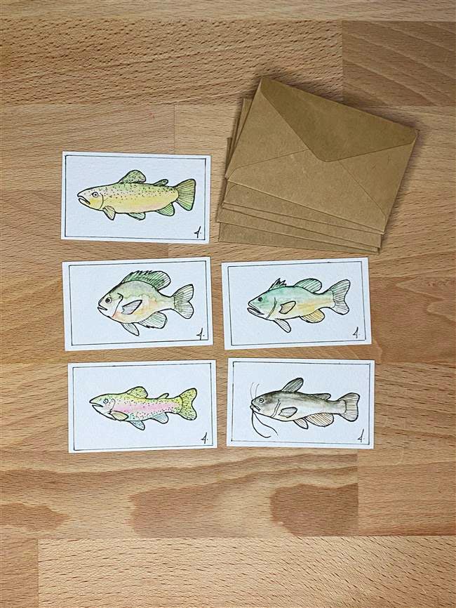 Fishes Bundle
