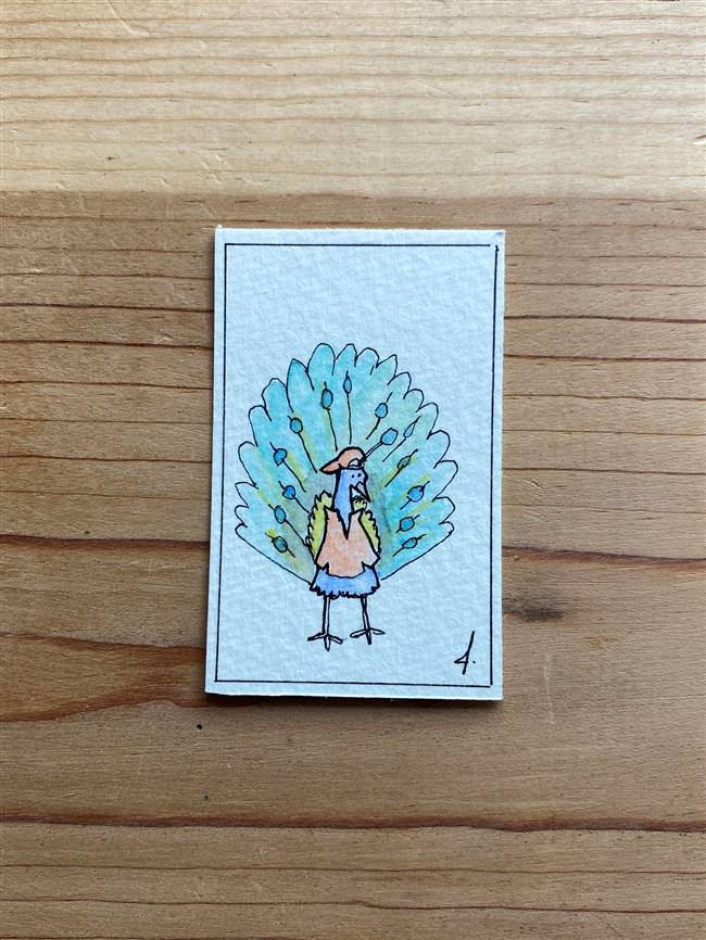 Party Peacock