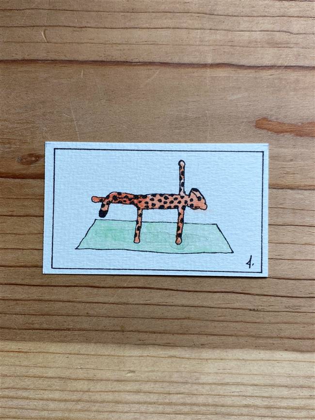 Yoga Cheetah