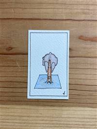 Yoga Ostrich