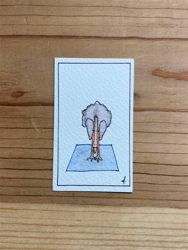 Yoga Ostrich