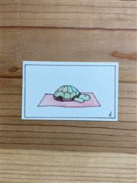 Yoga Turtle
