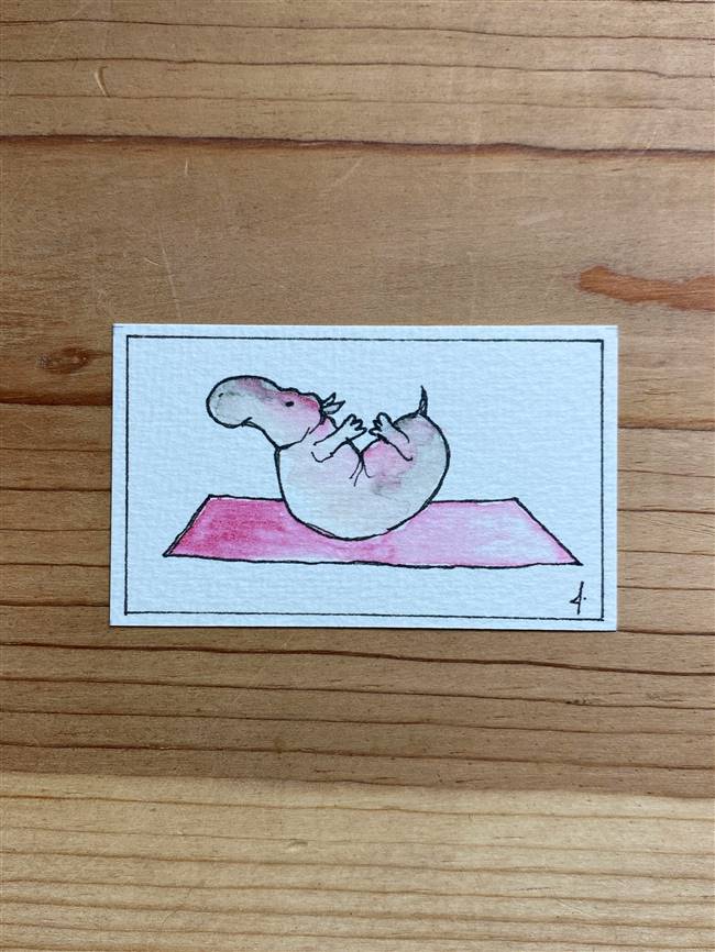 Yoga Hippo