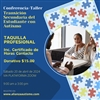 Boleto/Taquilla Seminario Transicion Secundaria - Profesional