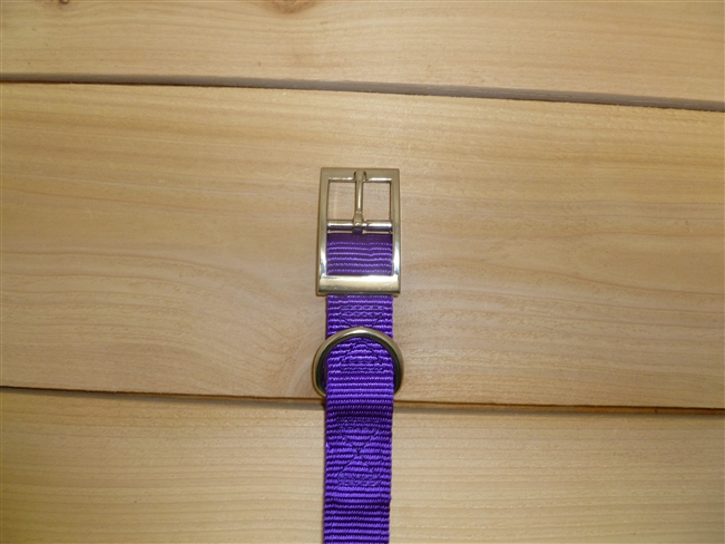 1" x 18" Double Ply Collar w/ Buckle on End