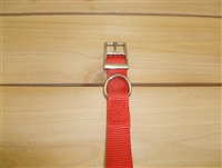 1" x 20" Double Ply Collar w/ Buckle on End
