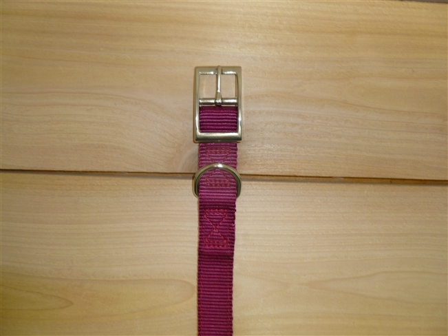 1" x 22" Double Ply Collar w/ Buckle on End