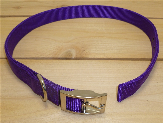 1" x 28" Double Ply Collar w/ Buckle on End