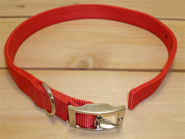 1" x 30" Double Ply Collar w/ Buckle on End