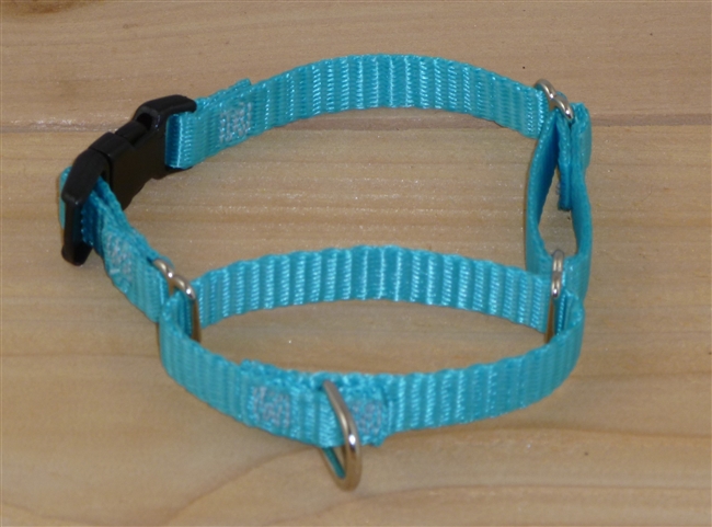 3/8" Martingale Collar w/ Release Buckle