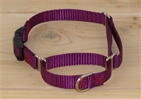 1/2" Martingale Collar w/ Release Buckle