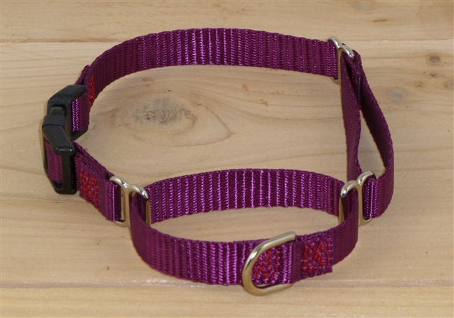 1/2" Martingale Collar w/ Release Buckle