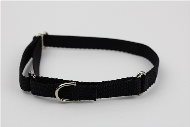 5/8" Martingale Collar