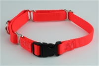 3/4" Martingale Collar w/ Release Buckle