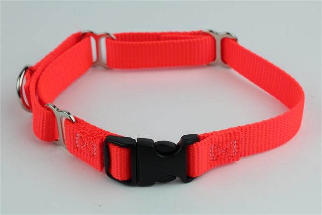 3/4" Martingale Collar w/ Release Buckle