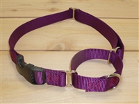 1" Martingale Collar with Buckle- Large