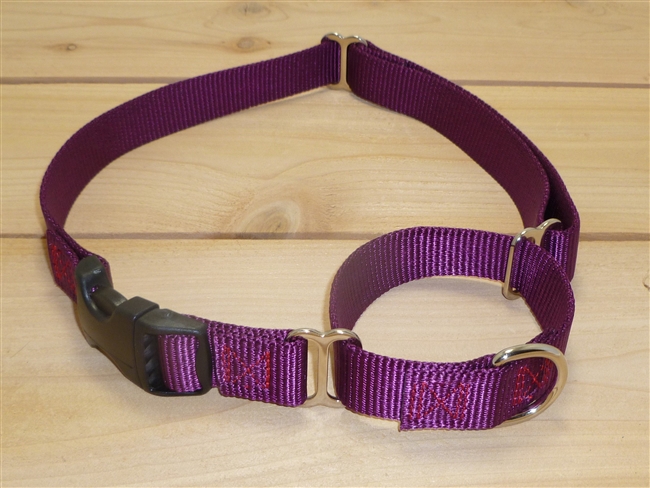 1" Martingale Collar with Buckle- Large