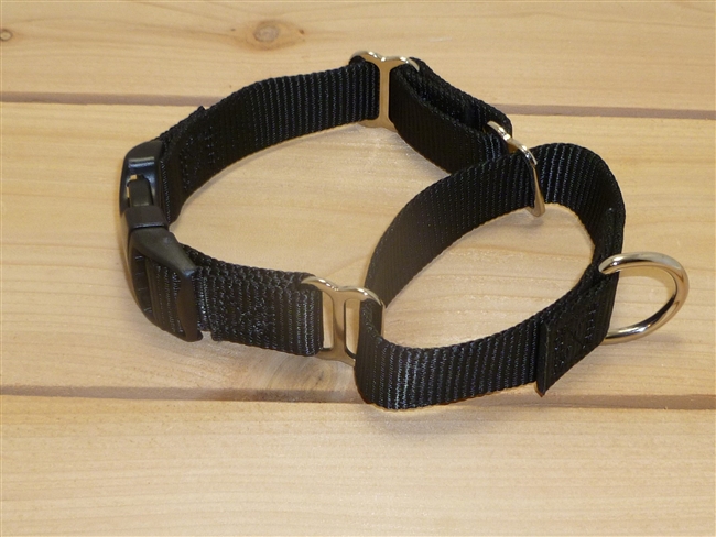 1" Martingale Collar w/ Release Buckle - Small