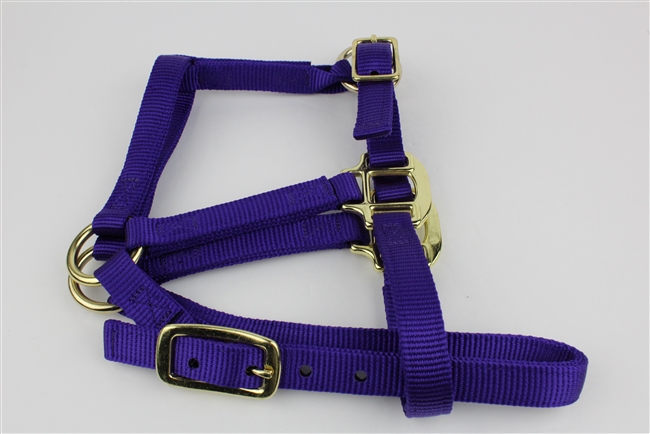 200-300 Adj. Chin Horse Halter