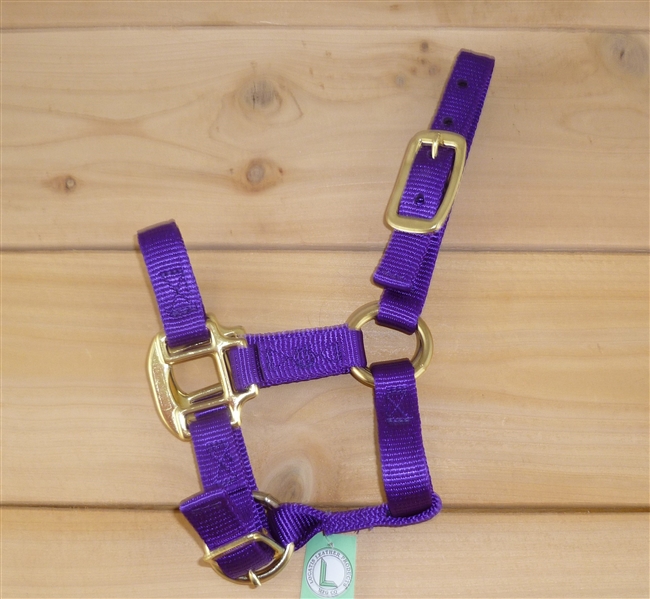 50-100 Adj. Chin Horse Halter