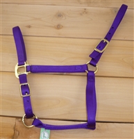 Arab Halter