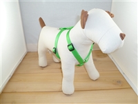 5/8" Small Adj. (to 22") Body Harness