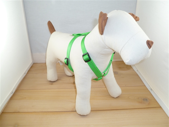 5/8" Small Adj. (to 22") Body Harness