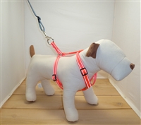 Reflective Small No Pull Harness Adj. to 22"