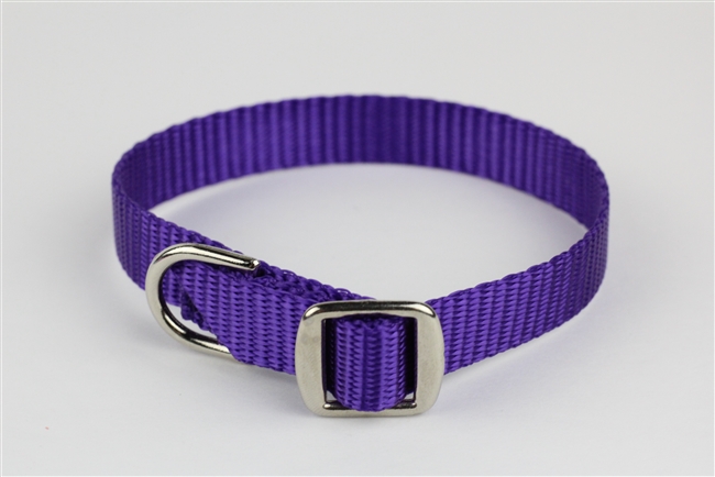 1/2" x 10" Slide Buckle Collar