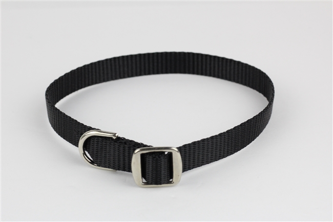 1/2" x 14" Slide Buckle Collar