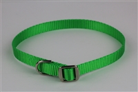 1/2" x 16" Slide Buckle Collar