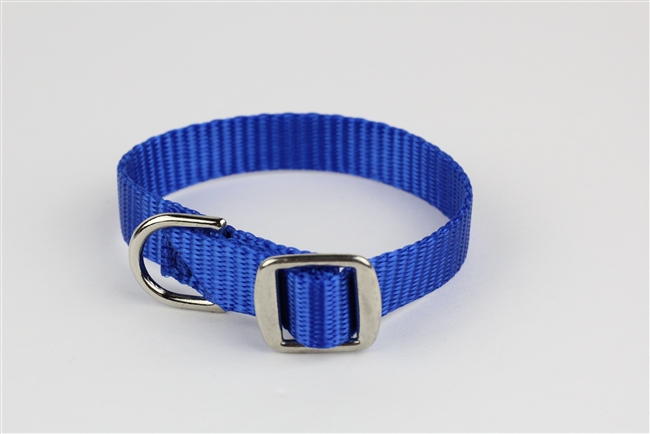 1/2" x 8" Slide Buckle Collar