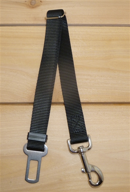 Seat Belt Clip