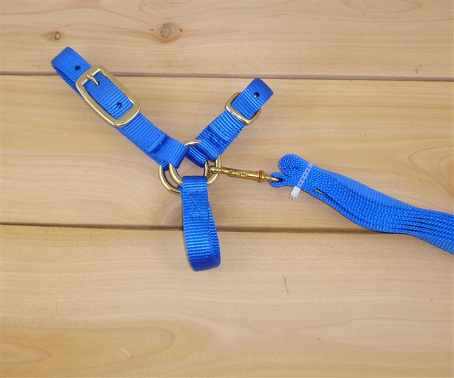 Sheep Halter with Lead